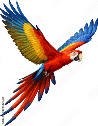 Ara macao illustration art