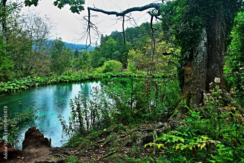 Croatia - view of a lake in the Plitvice Lakes National Park