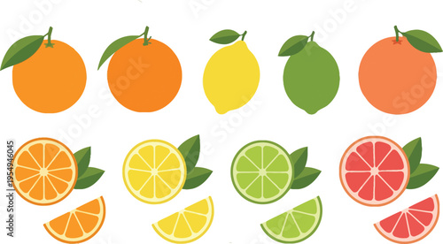 Colorful assortment of citrus fruits and their sliced variations in an illustrative style