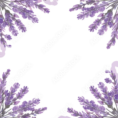 Frame of Lavender Flowers