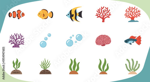 Vibrant Collection of Marine Life and Aquatic Plants.