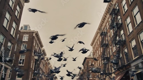 Flock of Pigeons Soaring Above City Street