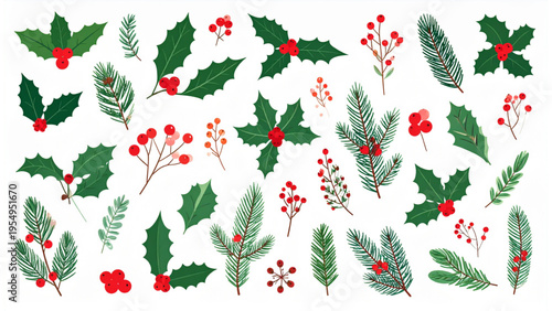 Festive Winter Plants Collection, Flat Vector Set of Holly, Mistletoe, Pine Branches and Red Berries