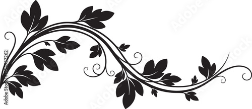Elegant black and white floral flourish design with graceful leaves and decorative curved swirls