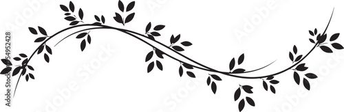 A minimalist black and white decorative floral vine element with elegant sweeping leafy branches