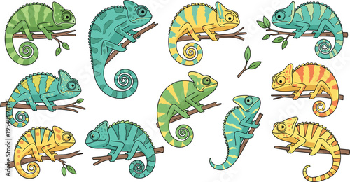 Colorful chameleon vector illustration set featuring various reptiles on branches in diverse colors for nature education wildlife conservation tropical mascot and decorative character designs.