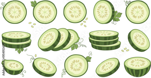 Fresh green cucumber vector set featuring cross section slices stacks and halves for healthy food illustration skincare product branding and organic vegetable market designs.