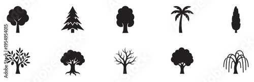 Tree silhouettes icons set. Different nature plants specie. Flat vector illustration. EPS 10