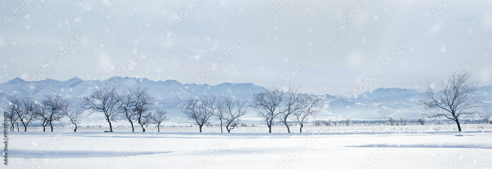 Naklejka premium winter landscape, snowy trees against the backdrop of mountains