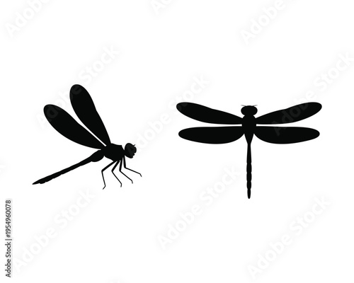 Flying dragonflies pair, spring nature illustration, wetland habitat artwork, entomology event poster, vector silhouettes, elegant wings, garden wildlife design