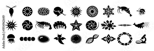 Decorative Plankton Silhouettes Set – Marine Microorganisms, Radiolaria, Diatoms, Ocean Biology Icons Collection Icon set