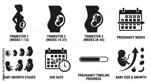 Pregnancy Timeline Vector Icons – Trimester Stages, Growth, Due Date & Maternity Tracking