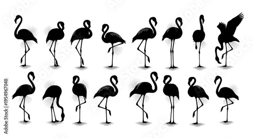 A collection of sixteen different black silhouettes depicting flamingos in various elegant poses