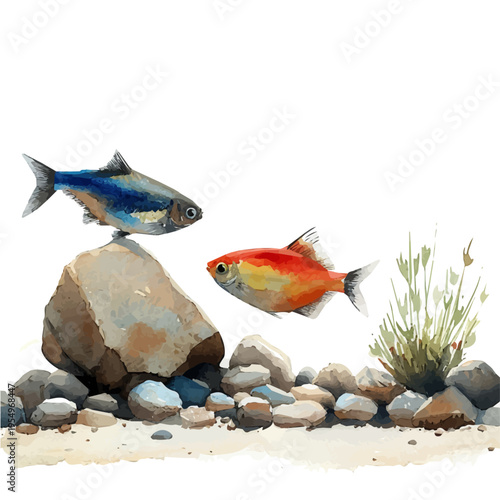 Neon Tetra, clipart watercolor vector with gentle, isolated on a white background.
