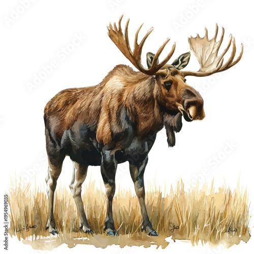 Moose, clipart watercolor vector with gentle, isolated on a white background.