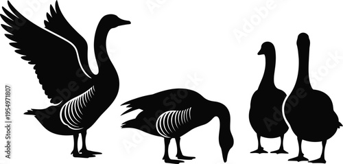 Black silhouettes of four geese showing different poses on a plain white backdrop