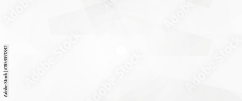 Abstract White and Light Gray Geometric Background with Elegant Overlapping Polyhedral Shapes, Minimalist Professional Corporate Backdrop for Technology Web Design and Presentation