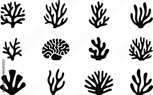 Diverse array of black marine coral and seaweed shapes presented as clean silhouettes on a stark white background