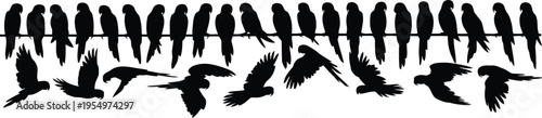 Multiple black parrot silhouettes are perched on a horizontal line and flying in dynamic poses