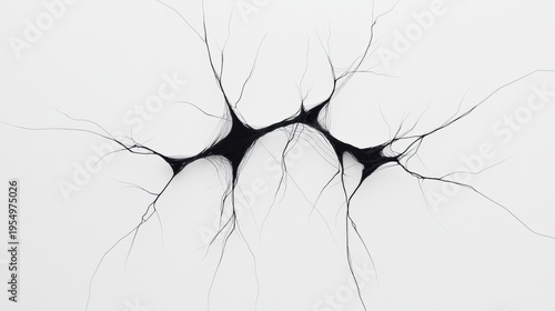 A black and white abstract image of a network of thin lines.