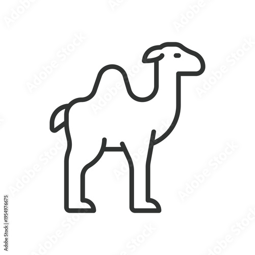 Camel, icon in line design. camel, animal, desert, mammal, hump, wildlife, transport on white background vector. camel editable stroke icon