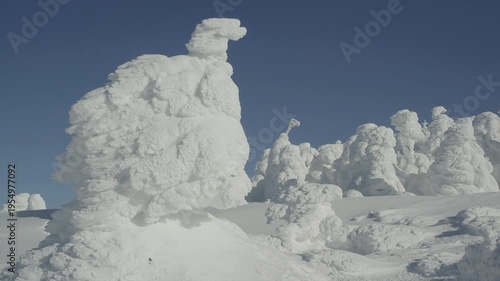 蔵王スキー場 地蔵山の樹氷