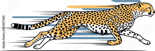 Adobe Illustrator Artwork