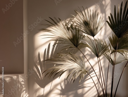 Palm Leaves Cast Shadows on the Wall in a Well-Lit Room During the Afternoon