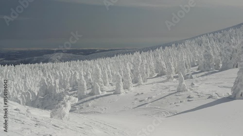 蔵王スキー場 地蔵山の樹氷