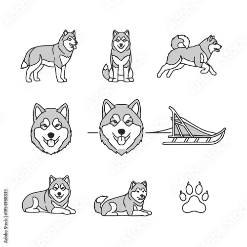 Vector Illustration Set of Siberian Husky Dog Icons Including Standing, Sitting, Running Poses, Head Portraits, Traditional Wooden Dog Sled, and Paw Print Graphic on White