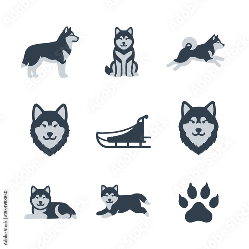 Minimalist flat icon set of Alaskan Malamutes or Siberian Huskies in various poses including standing, sitting, running, and lying down, with a dog sled and paw print icon.