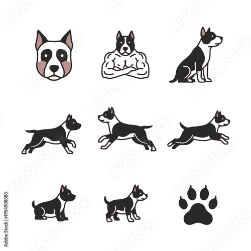 Vector illustration set of black and white bull terrier or pitbull dog icons featuring various poses like running, sitting, a muscular anthropomorphic version, and a paw print.