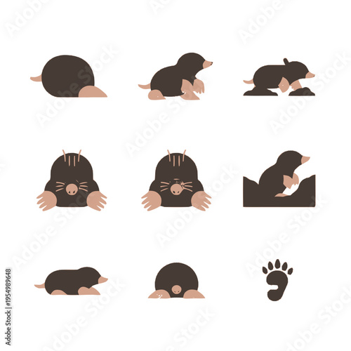 Vector illustration set showing a mole in various poses like digging with a shovel, emerging from a hole, side profile walking, and a single animal paw print track isolated.
