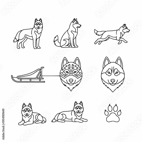 Collection of Siberian Husky dog line art icons featuring standing, sitting, running, and lying poses, plus a sled, paw print, and stylized dog head portraits on a white background.