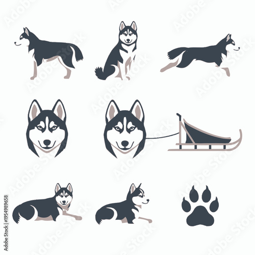 Siberian Husky dog vector set featuring various poses including running, sitting, standing, and lying down, plus a dog sled, paw print, and portrait head icons on white background.