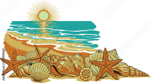 A colorful illustration of a beach scene featuring starfish and various types of seashells on the sandy shore, with the sun setting over the ocean in the background, creating a serene