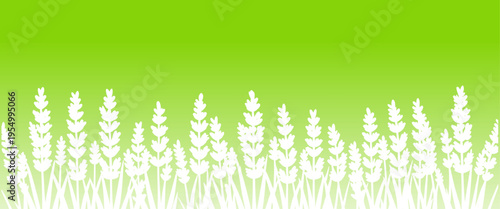 Fresh spring floral background with white wildflowers and grass silhouettes on green gradient, ideal for seasonal banners, eco design, and nature themed layouts