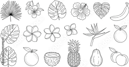 Tropical leaf and fruit line icon set featuring monstera hibiscus plumeria bird of paradise pineapple banana coconut orange and papaya for exotic nature vector.