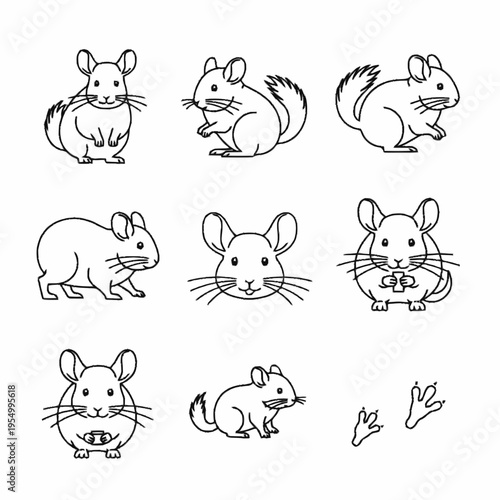 Set of black line art illustrations of chinchillas featuring different poses like sitting, standing, eating, and head portraits, including paw prints on a white background.