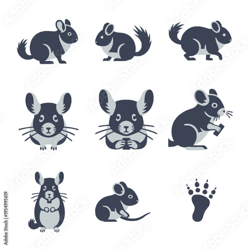 Set of flat vector chinchilla icons and illustrations in various poses including sitting, standing, and eating, featuring a rodent paw print, isolated on a white background.