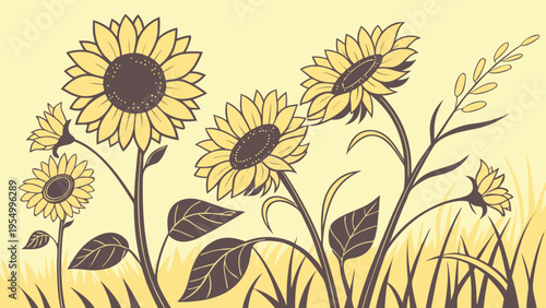 Field of sunflowers at sunset, golden hour light, yellow blooms with dark centers, rustic countryside scene