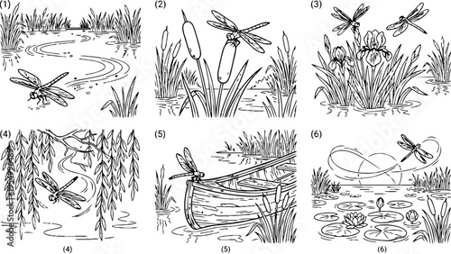 Colorbook style detailed line art of dragonflies near pond reeds rowboat and water lilies natural wetland environment peaceful outdoor nature scenes