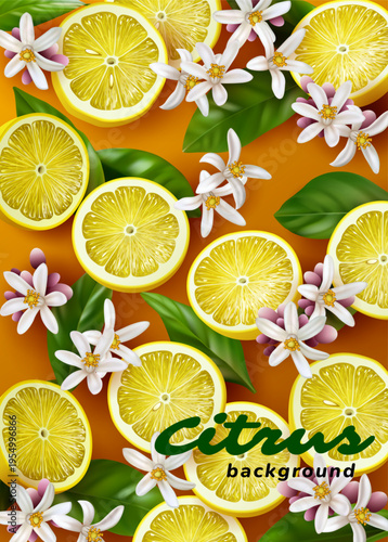 Fresh citrus and blossoms on orange background