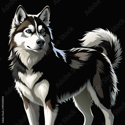Siberian Husky standing Stylized Vector Illustration
