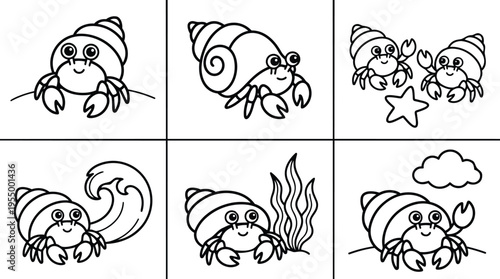 Hermit crab with shell and underwater seaweed