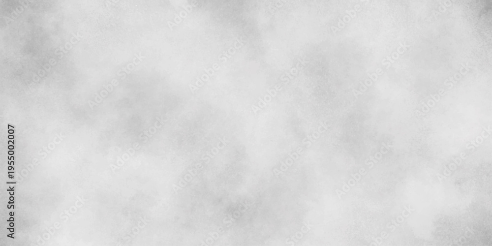 Obraz premium Abstract gray background soft white watercolor grunge texture. gray aquarelle painted realistic fog or mist smoky textured canvas design. white cloud paper texture design and watercolor design.