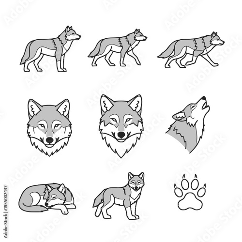 Minimalist gray and black line art vector illustration set of wolves featuring standing, walking, howling, and sleeping poses plus frontal head portraits and a paw print icon.