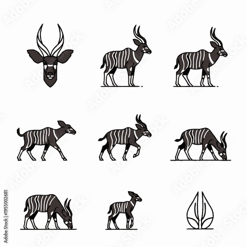 Minimalist mountain bongo antelope vector illustrations in multiple poses like walking, grazing, and standing, with a head portrait, a calf, and a cloven hoof print, on white.