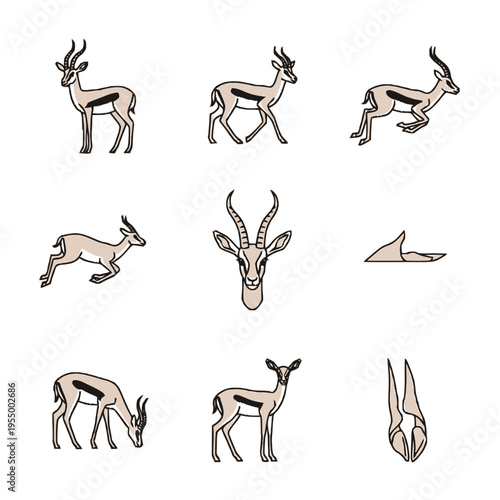 Collection of flat color line art icons of an African gazelle or antelope showcasing various movements, a frontal head profile, side view, and hoof detail on white background.