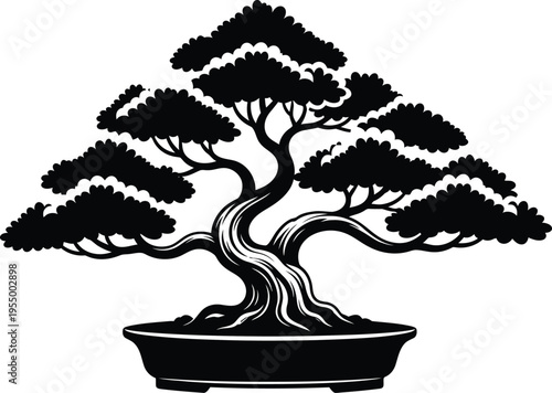 Bonsai tree in a pot